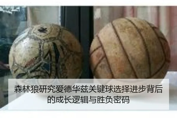 森林狼研究爱德华兹关键球选择进步背后的成长逻辑与胜负密码